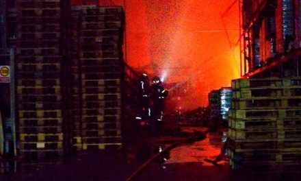 VÍDEO: Las llamas calcinan completamente la planta de producción de Acenorca
