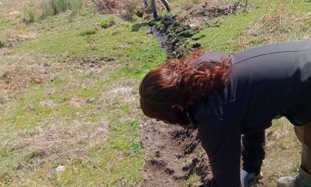 La iniciativa “Vamos a sembrar agua” de Aldeanueva de la Vera celebra su tercer año