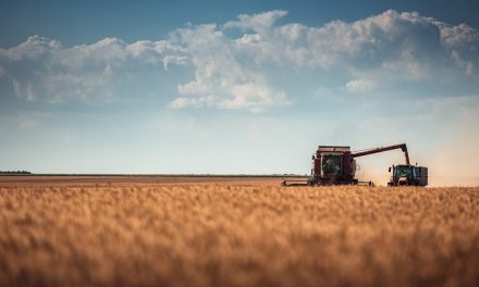 Agricultura abona más de 15 millones de la PAC y más de 7 millones de ayudas por la sequía al cereal
