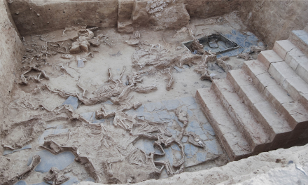 Nuevos descubrimientos en el yacimiento del Turuñuelo revelan sacrificios rituales de animales