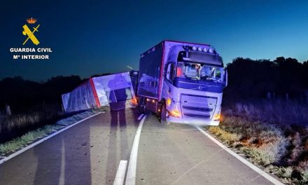 Un accidente de un camión provoca problemas de circulación en la Ex-381