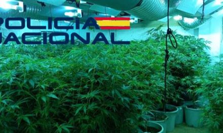 Tres detenidos por tráfico de drogas, fraude eléctrico y cultivo de marihuana “indoor”