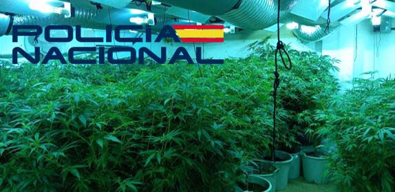 Tres detenidos por tráfico de drogas, fraude eléctrico y cultivo de marihuana “indoor”