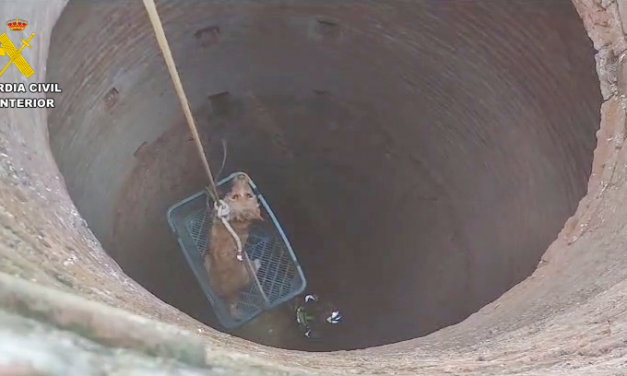 Bomberos y Guardia Civil rescatan a un perro que cayó a un pozo de 10 metros de profundidad