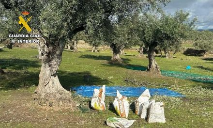 Apag Extremadura Asaja pide a la Junta créditos al 0% para cultivos de olivar y viñedo