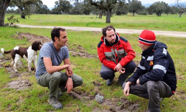 Cuatro jóvenes agricultores se formarán en explotaciones modelo de Extremadura gracias a UPA-UCE