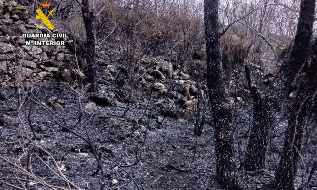 La Guardia Civil investiga a un hombre por un delito de incendio forestal