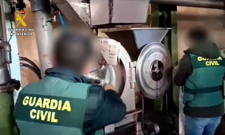 Destruidos los 28.920 kilos de aceituna inmovilizados a una empresa de La Parra