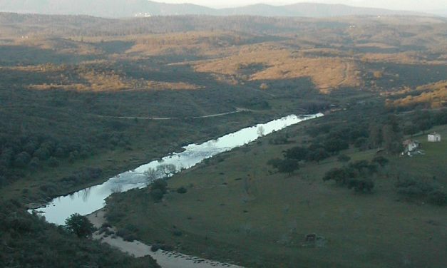 El desbordamiento del río Erjas obliga a cortar la carretera que une Zarza y Salvaterra