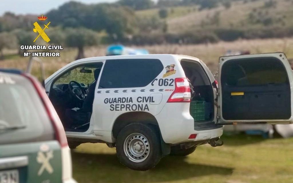La Guardia Civil investiga un caso de maltrato y abandono de animales en una explotación ganadera de Casas de Millán