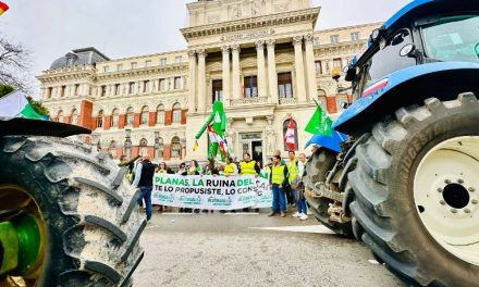 Los agricultores de la tractorada extremeña llegan a Madrid para reivindicar el futuro del campo