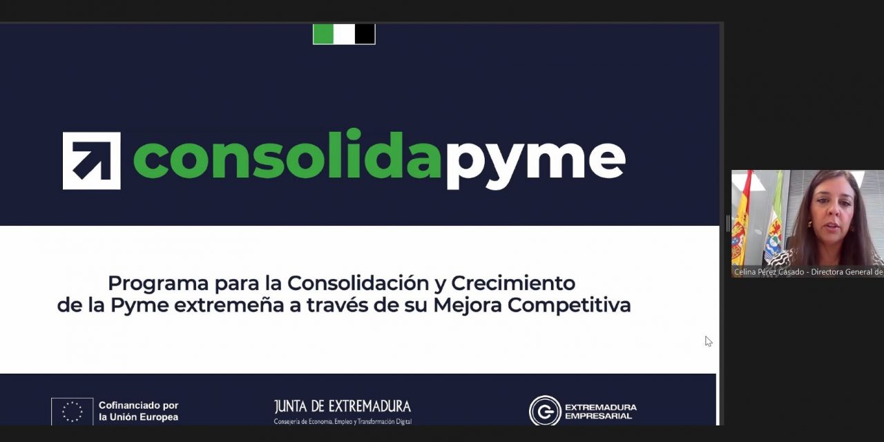 Cerca de 200 pymes participan en el webinar informativo sobre las ayudas Consolidapyme