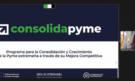 Cerca de 200 pymes participan en el webinar informativo sobre las ayudas Consolidapyme