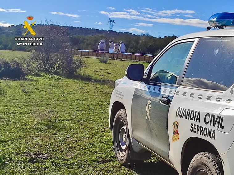 Aparecen en Montehermoso y Guijo de Coria más de 100 colmenas robadas en Las Hurdes