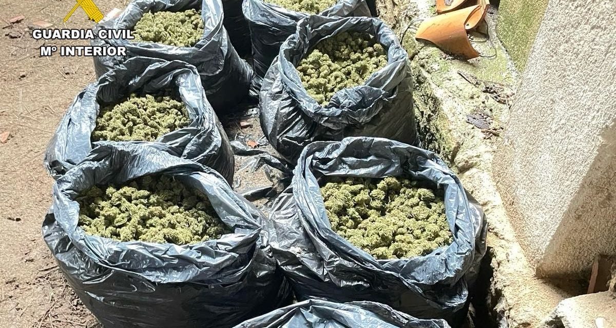 La Guardia Civil descubre 50 kilos de marihuana ocultos en un inmueble abandonado