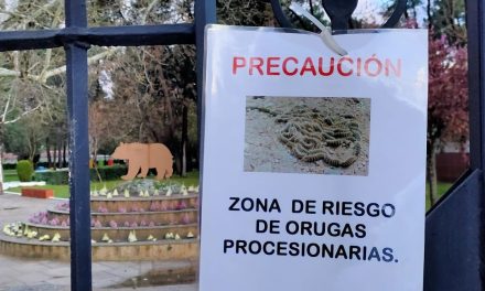 Alerta en el Parque Natural de Talayuela por la presencia de orugas procesionarias