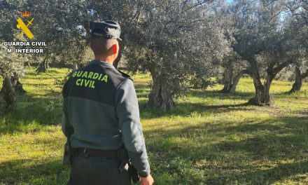 Detenido un hombre de 54 años sospechoso de robar 5.000 kilos de aceitunas de La Vera