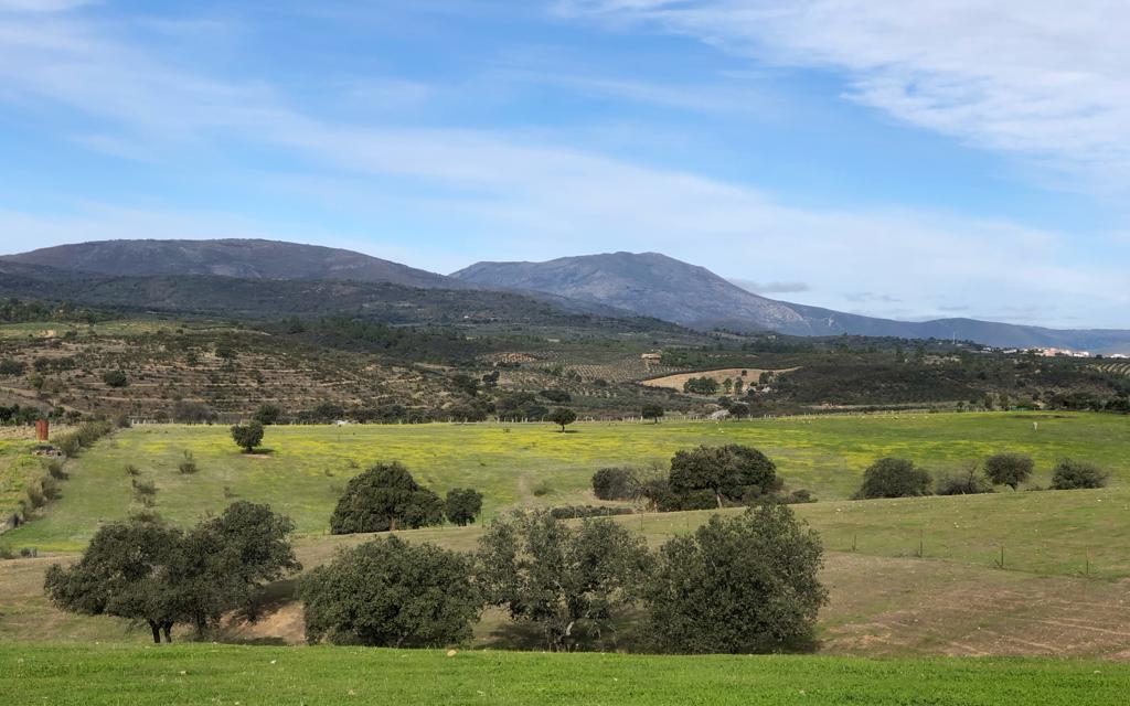 Una empresa gallega pretende extraer litio, wolframio, estaño y tántalo en 10 pueblos de Cáceres