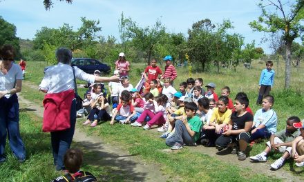 Más de 600 niños se reunirán en Zarza de Granadilla en el Encuentro Diocesano de Infancia