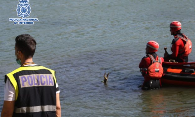 Buscan a un menor desaparecido en el río Guadiana mientras se bañaba con unos amigos