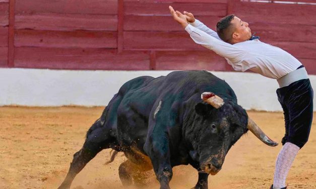 Los mejores recortadores de España estarán en la Feria del Toro de Coria