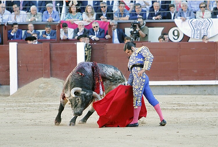 Morante de la Puebla se cae del cartel de la corrida de toros de este domingo en Navamoral