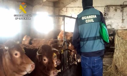 Tres detenidos por llevar la enfermedad hemorrágica al norte de España al mover vacas desde Cáceres