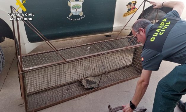 La Guardia Civil interviene trampas y otras herramientas para cazar animales de forma ilegal