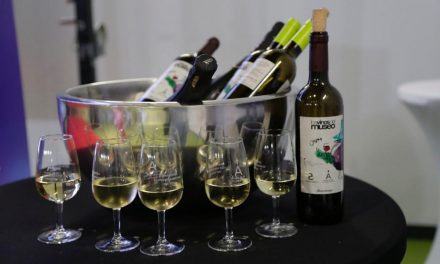 El Museo de las Ciencias del Vino convoca su tradicional concurso “Los Vinos del Museo»