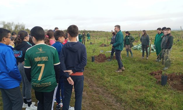Escolares de Moraleja participan en una jornada de reforestación en la antigua escombrera