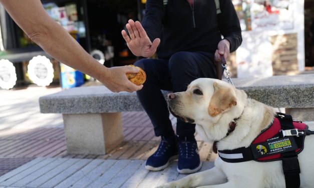 Las personas con perro guía piden a la sociedad que no ofrezcan comida a sus animales